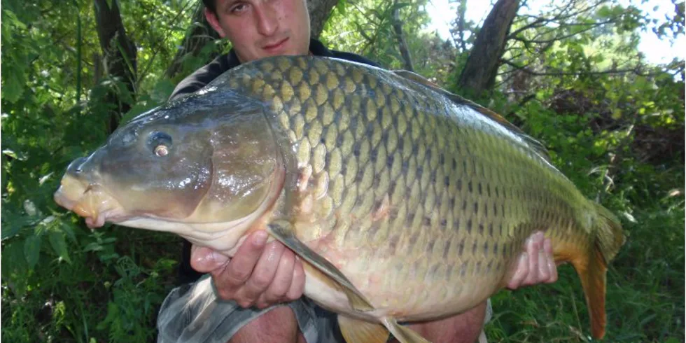 Tomášova povedená plavba