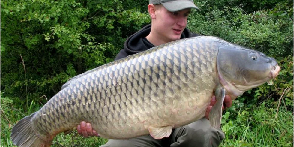 Další úspěšné mapování Francie