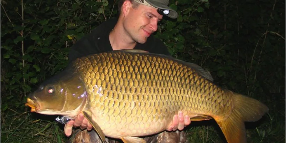 Konec okurkové sezony