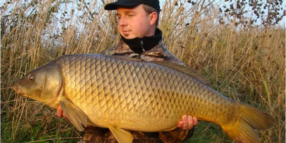 Stella team opět na scéně! 