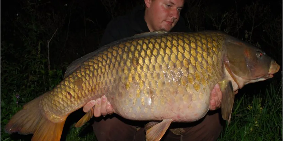 Honza a zvoník od Matky Boží