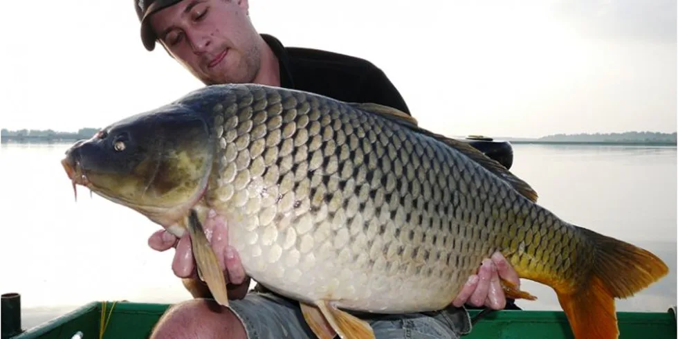 Tomášův podzimní lov