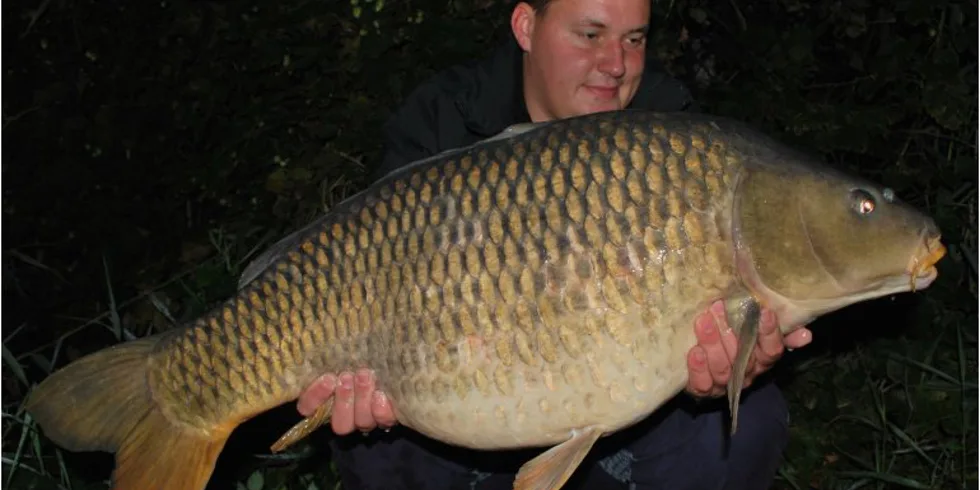 Honzovi podzimní šupináči