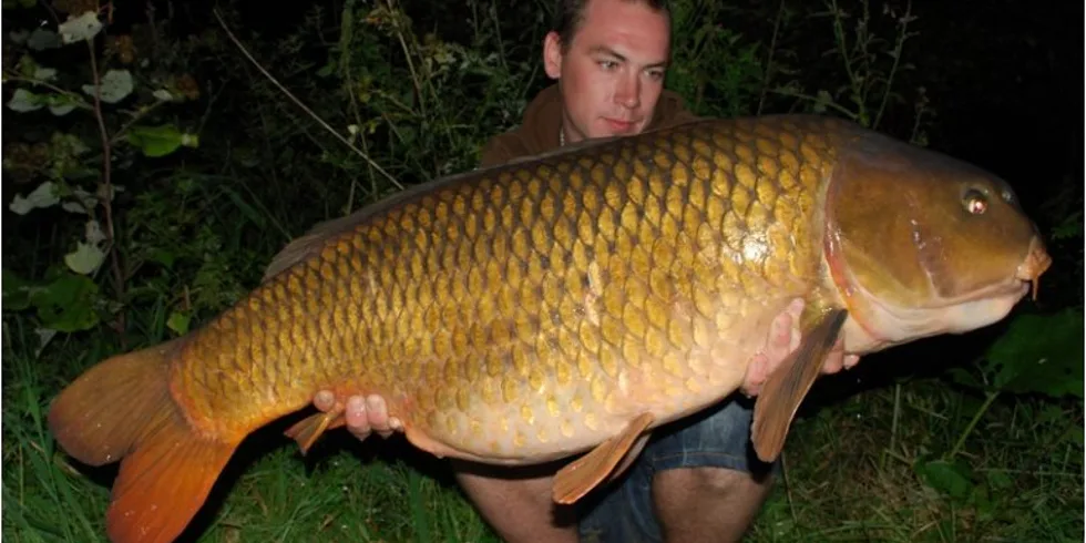 Carpkillerovy krátké akce