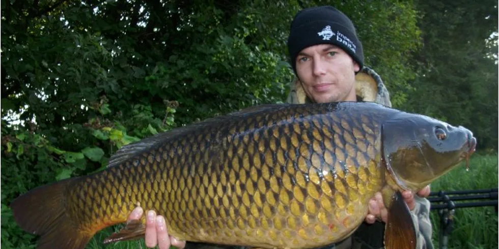 Jarcův podzim s Noční Můrou