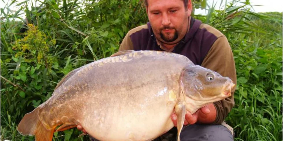 Braňův tanec se Selkou