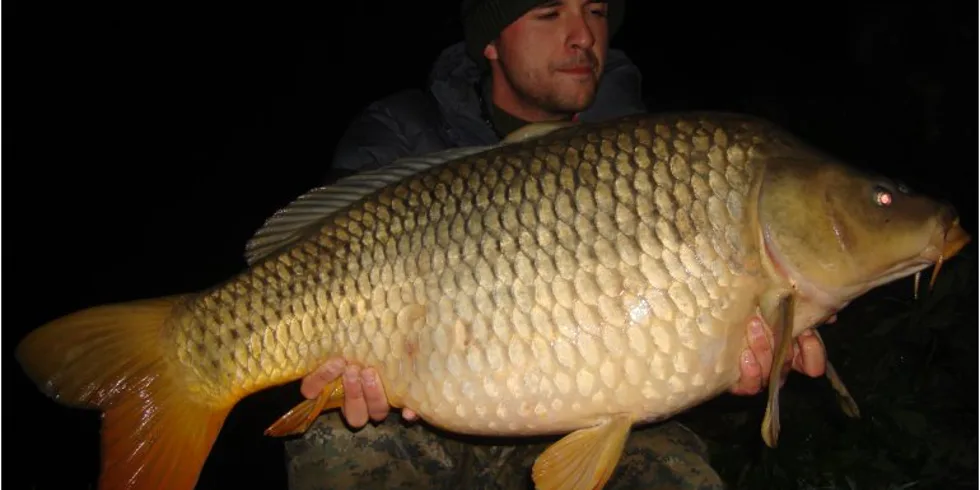 Marcelovy podzimní několikahodinovky