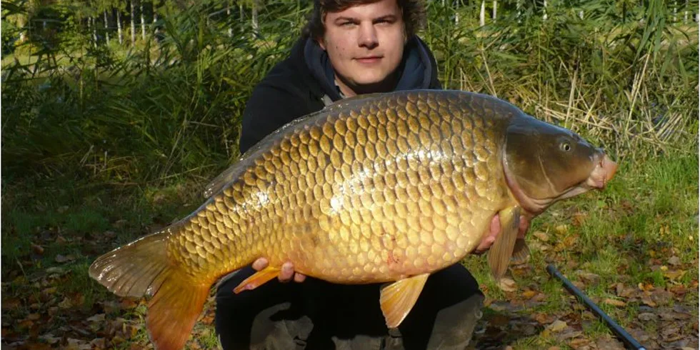 Martinovy podzimní několikahodinovky