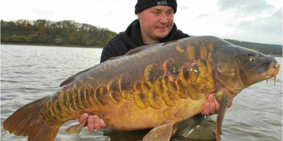 Podzimní Francie Honzy a Radka