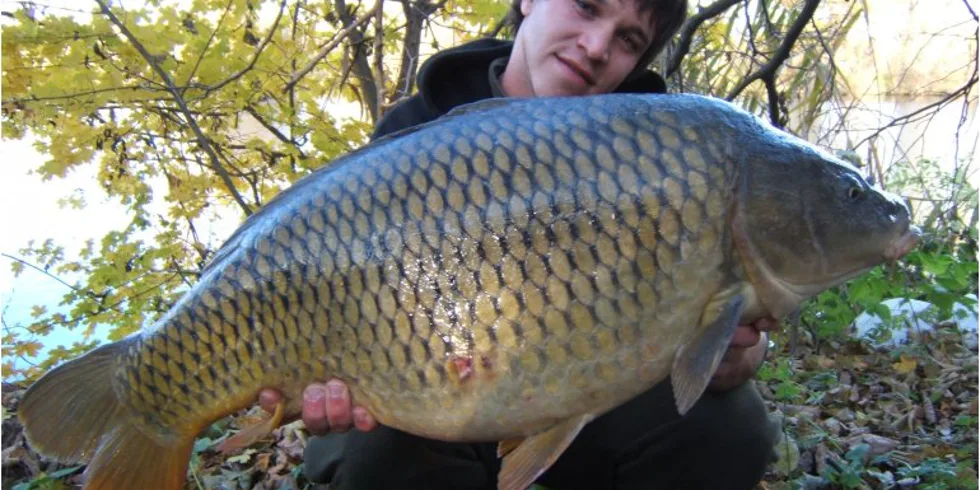 Podzim, vždy v pozoru!
