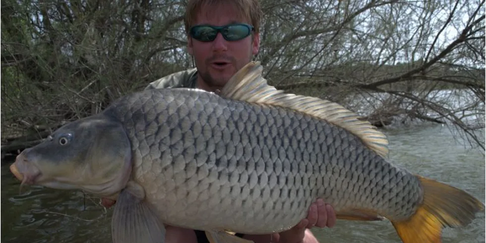 Zimní Ebro CT Havana