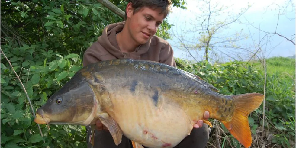 Trpělivost kapry přináší!