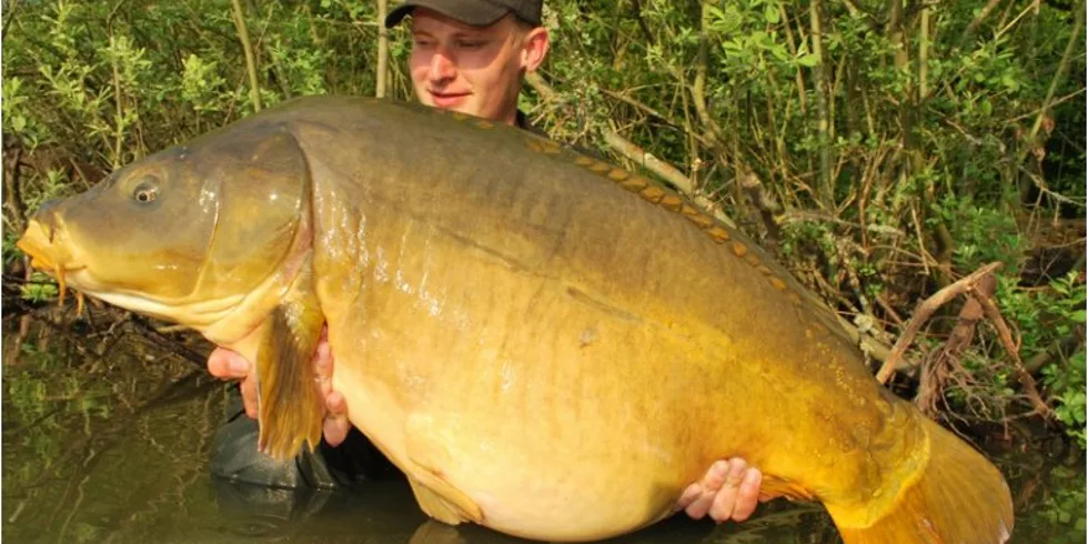 Robinův start do sezony