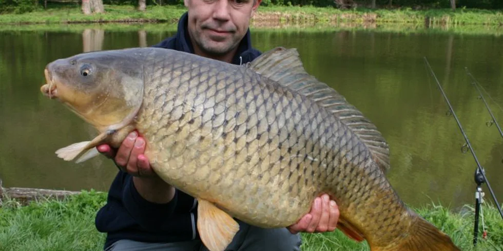 Rickovy povedené krátké akce