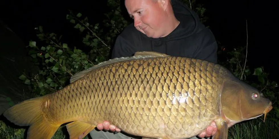 Po jedenácti letech...