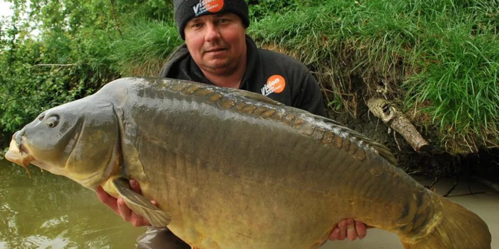 Jarní volání Francie