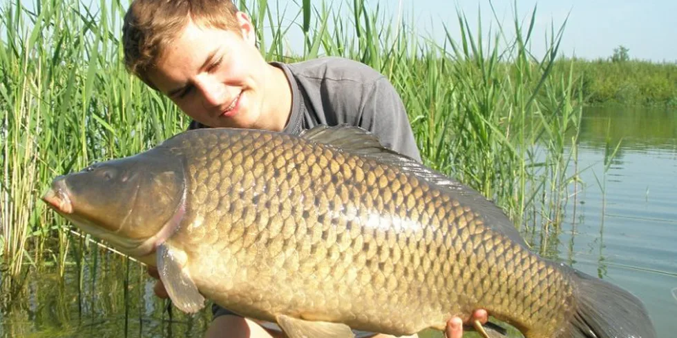 Mládě a jeho květnová "plavba" za kapry