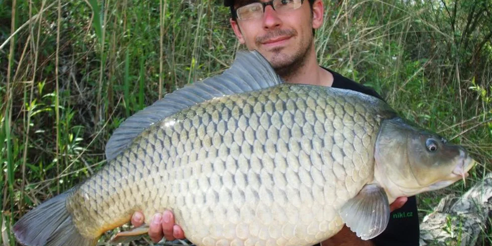 Maďarské jaro ve Slovenské režii