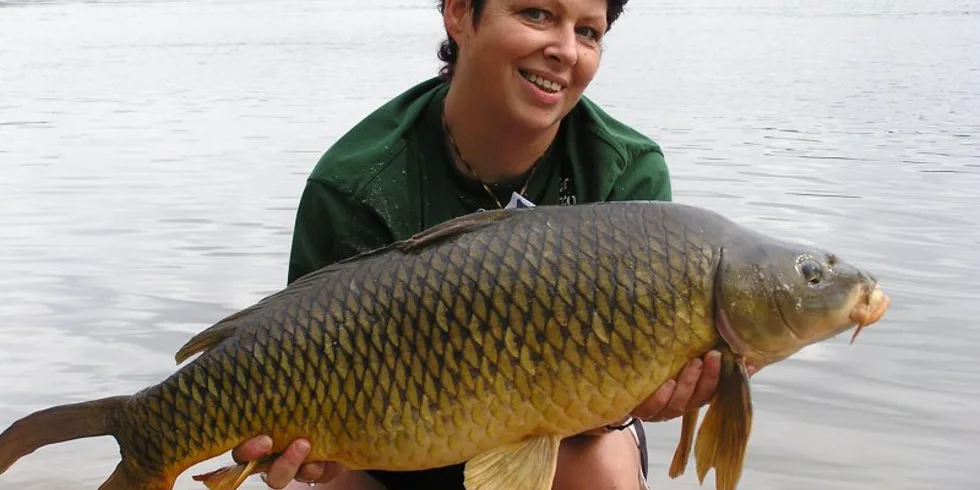 Noční Můra boduje i za velkou louží