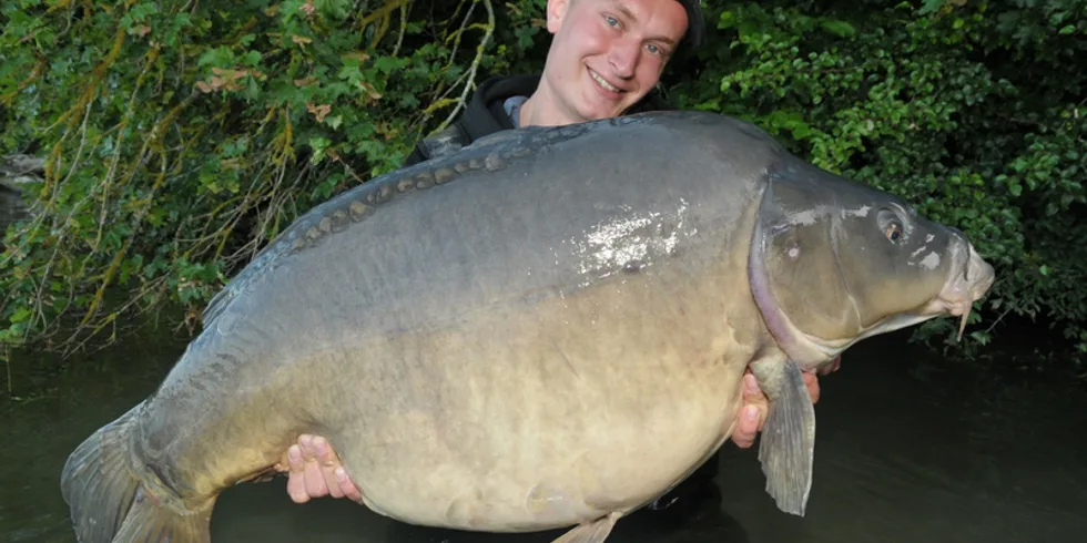 Robin a další obří lysec!