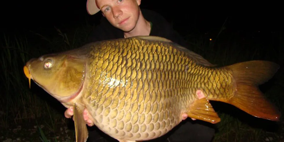 Italská zkušenost Matěje Houšky