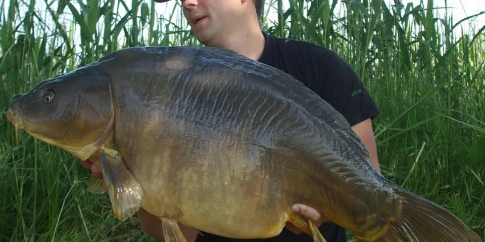 Svazovka jak se patří