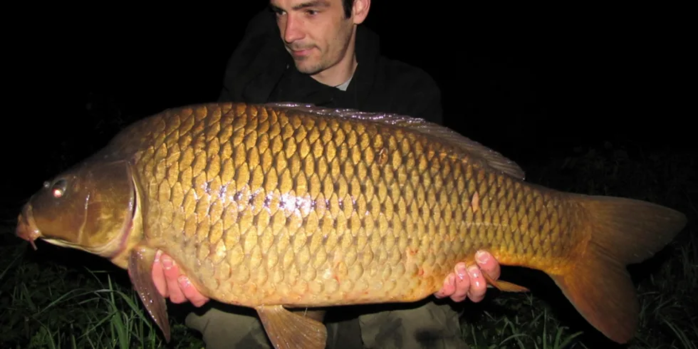 Říční série Ládi Jeníka