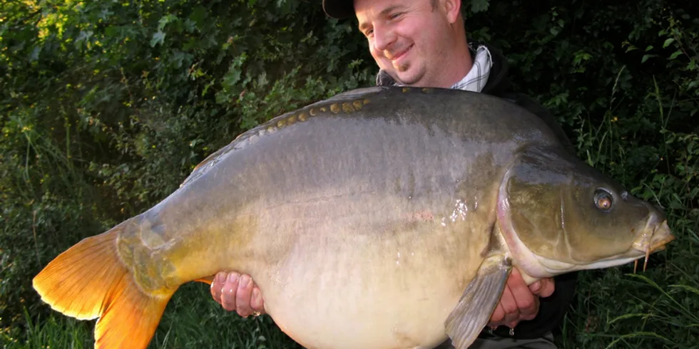 Vladysův návrat po šesti letech!