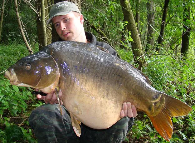 Víkendovka s Food Signálem