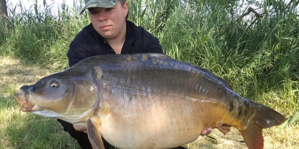 Kapři z pod lžíce bagru