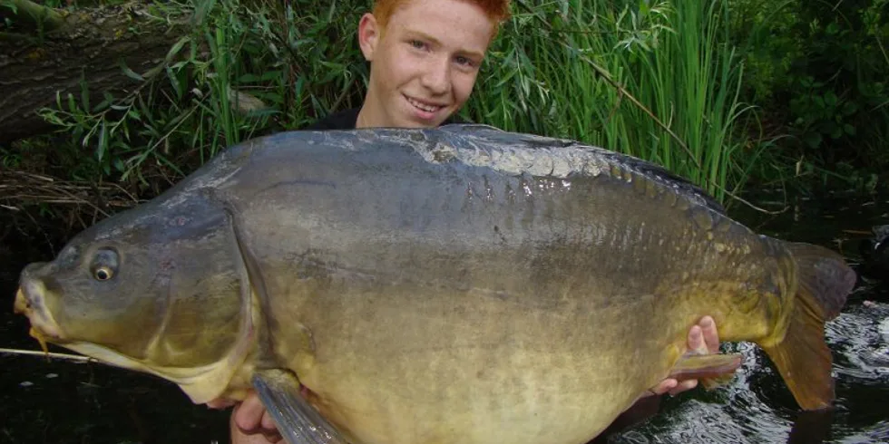 Enigmova výprava snů