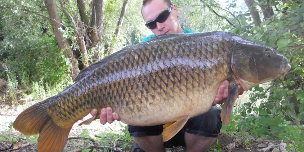 Přesun z řeky na pískovnu