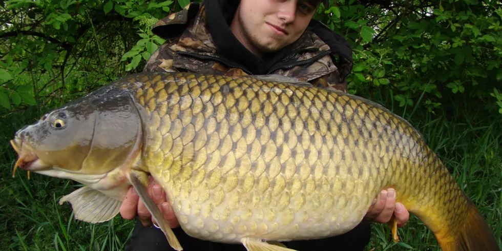 Poslední výprava před operací