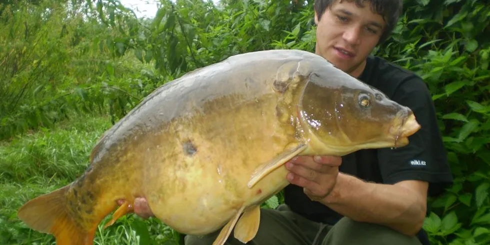 Scopexovo Labské trápení