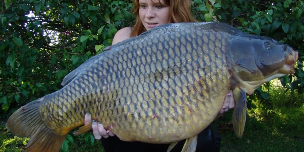 Kájovy rychlovky s přítelkyní Nikčou