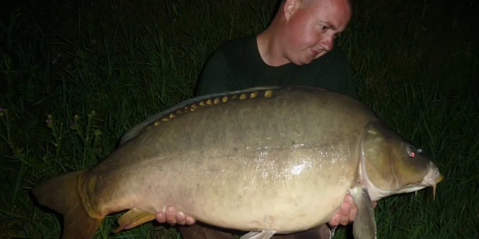 Odysea Kill Krilu v Milošových rukách pokračuje...