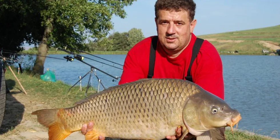 3XL, Kill Kril a pekný víkend na rybách