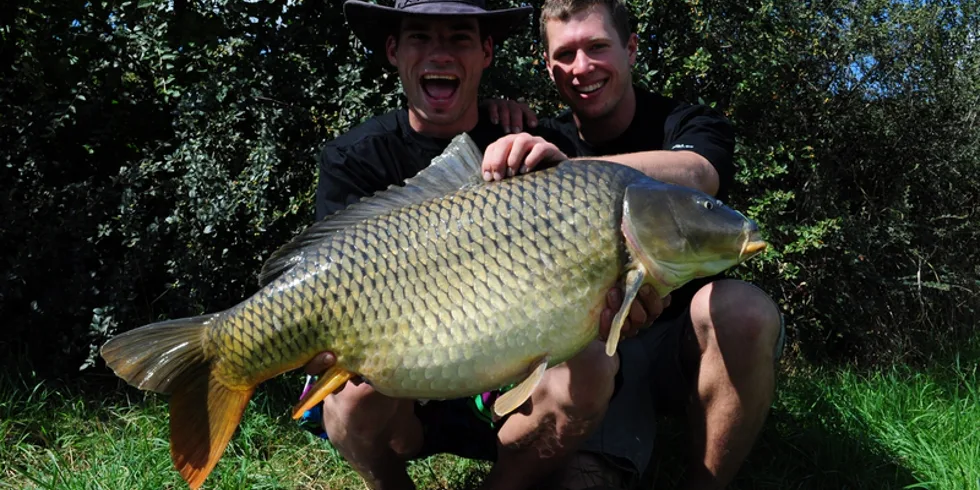 Adrenalin i na rybách aneb větrné Nové Mlýny