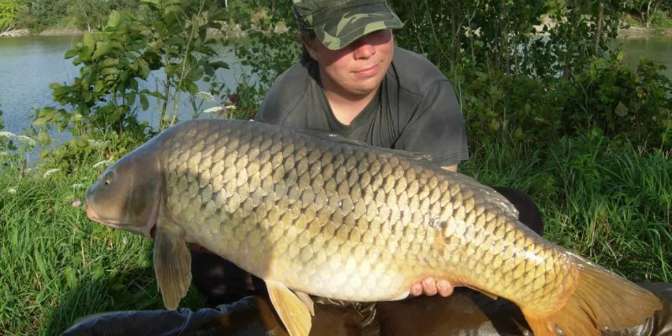 Úspěšné miniboilie