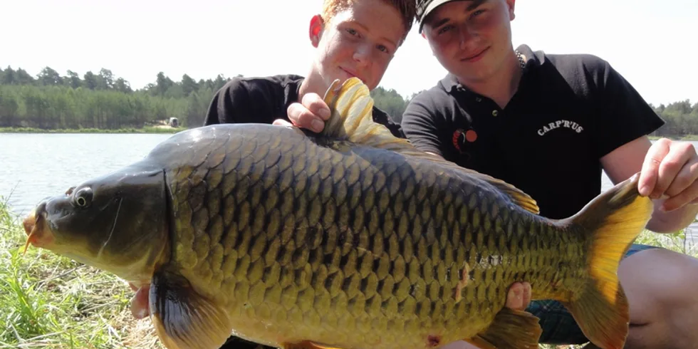 Závodní ambice Kinder Carp gangu