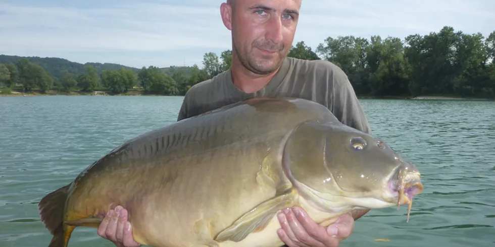 David "Vectif" Fořt feat Kill Krill