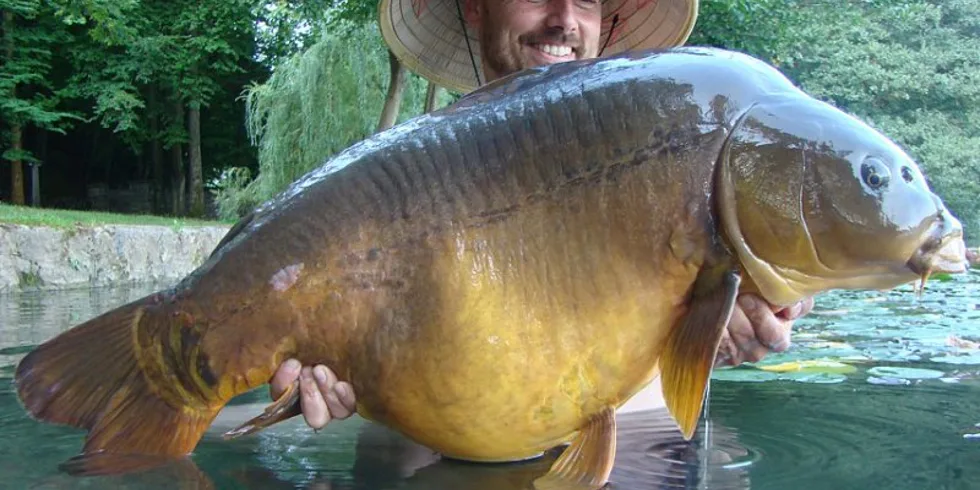 Horské jezero a jeho poklady
