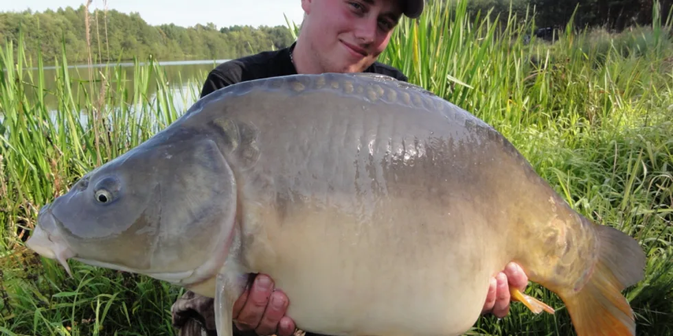 Kájův Ploužnický úlet