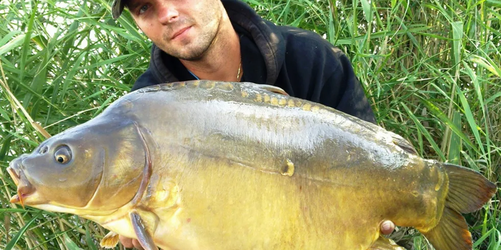 Rišovy pár-hodinové noční výpravy