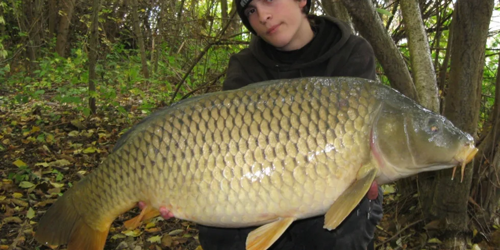 Další zářez na pažbě!