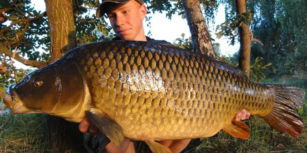 Enigmův konec léta