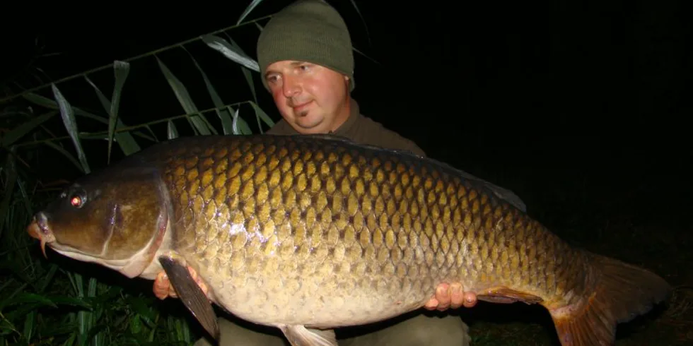 Mizící krmení - vražedná metoda