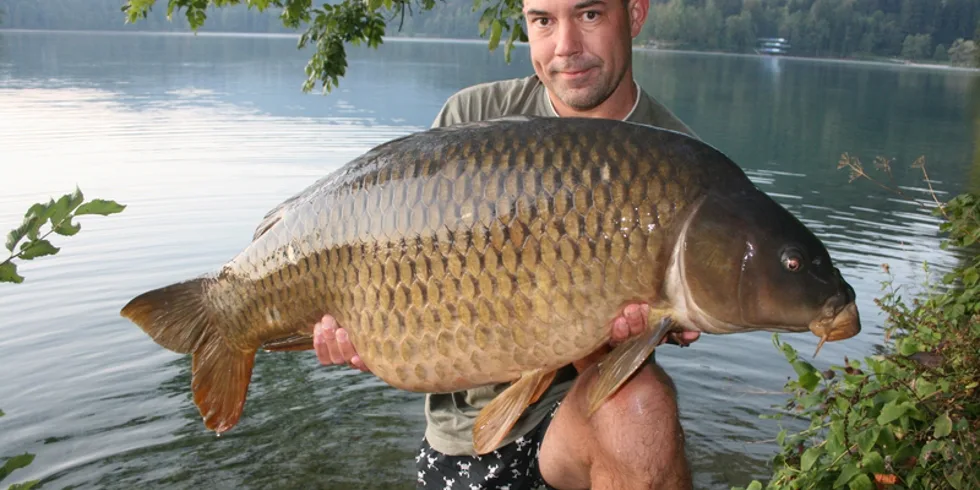 Rickův rodinný výlet