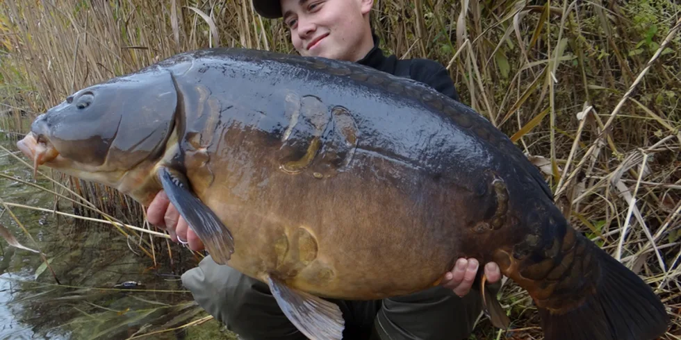 Silvestrovský večírek začíná...