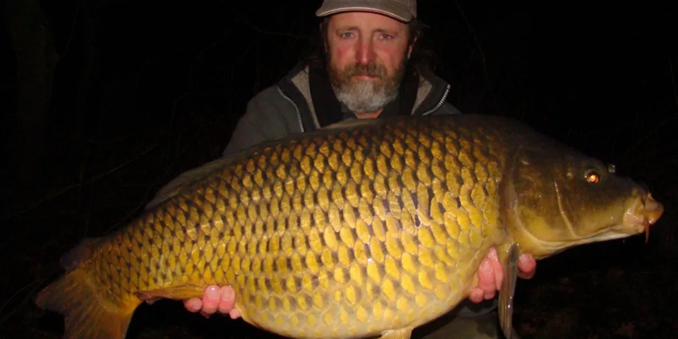 První vlaštovky pro Milana a Láďu!